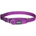 Red Dingo Martingale Dog Collar Classic Purple, Medium RE437182